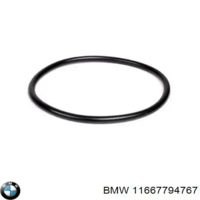 Прокладка вакуумного насоса BMW 11667794767