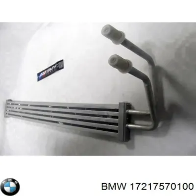 Радиатор ГУР BMW 17217570100