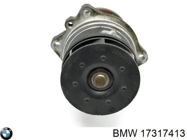  17317413 BMW