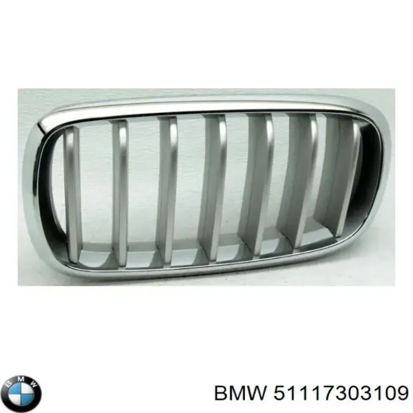 Решетка радиатора левая 51117303109 BMW
