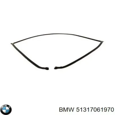Молдинг стекла заднего BMW 51317061970