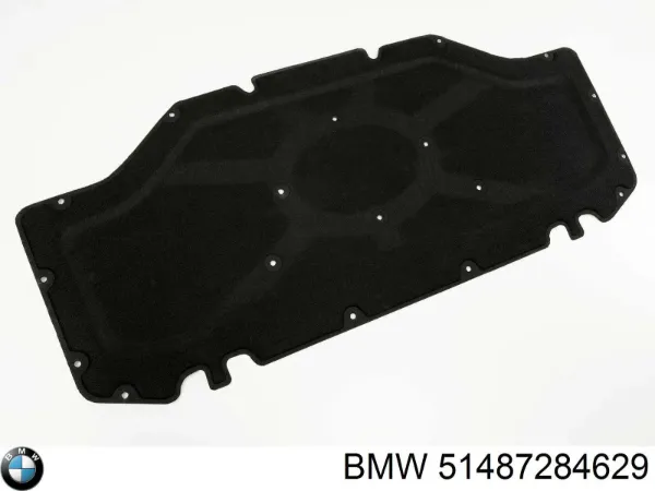 bmw-51487284629-