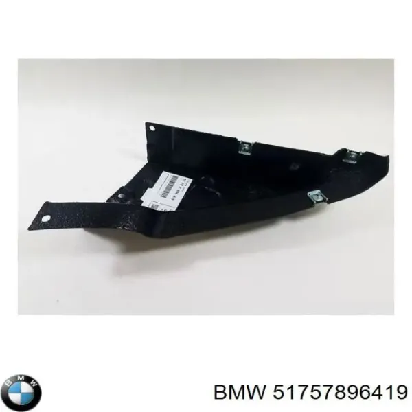  51757896419 BMW
