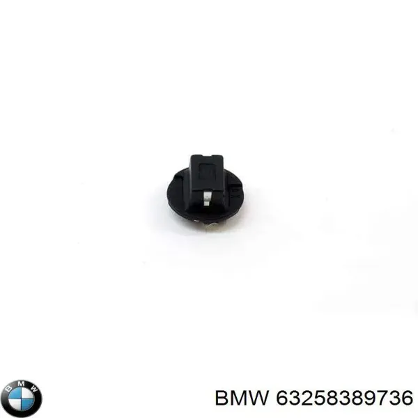 Поворотник правый BMW X5 E53