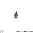 Распылитель дизельной форсунки BOSCH 0433171853 Распылитель дизельной форсунки BOSCH 0433171853