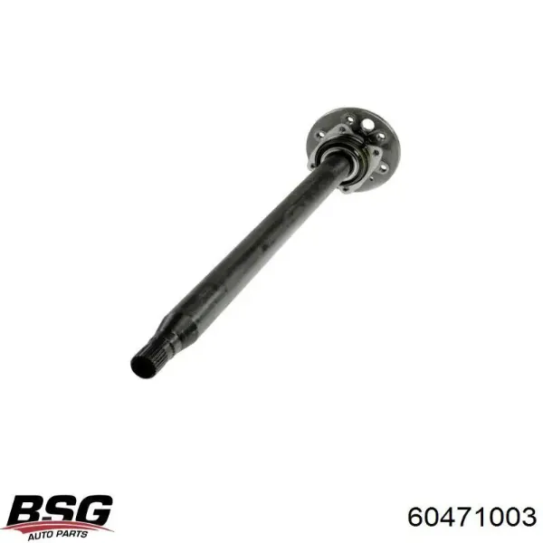 60471003 BSG