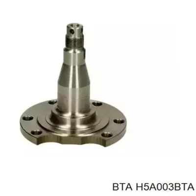 Цапфа (поворотный кулак) задний BTA H5A003BTA