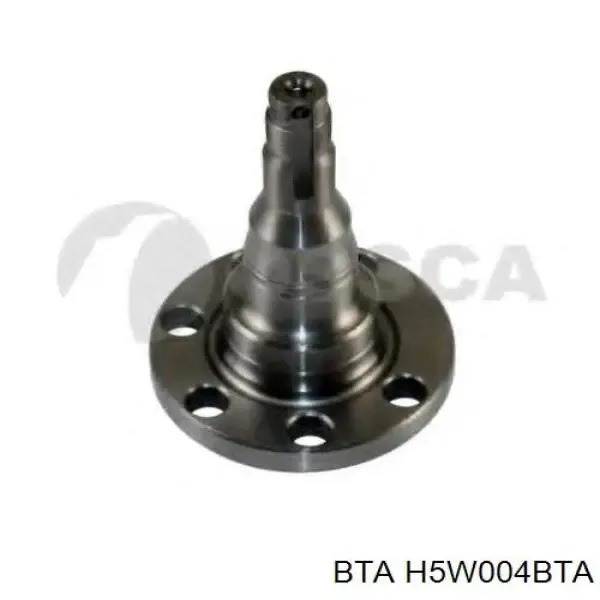 Кулаки поворотные задней подвески BTA H5W004BTA