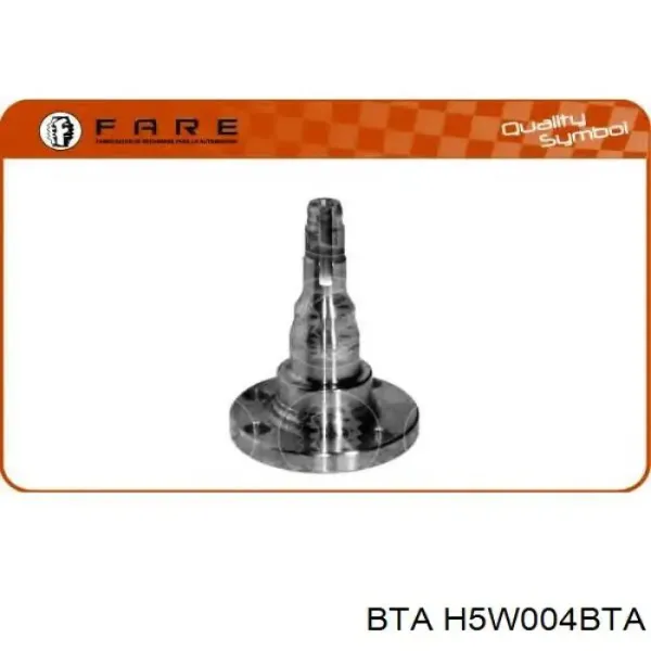 H5W004BTA BTA Цапфа задняя