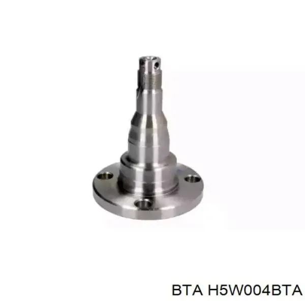 Поворотный кулак задний BTA H5W004BTA цена, от 11.87 USD