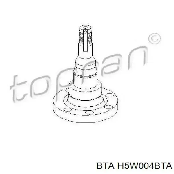 Поворотный кулак задний H5W004BTA BTA