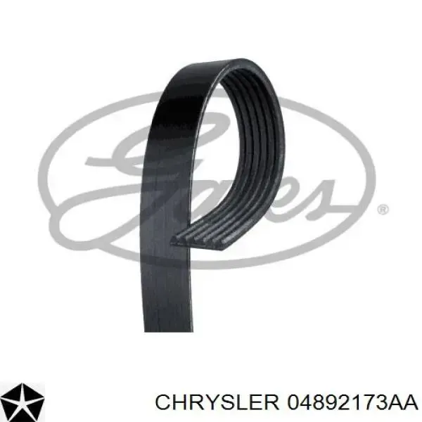 Ремень генератора 04892173AA Chrysler