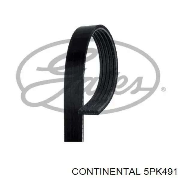 Ремень генератора 5PK491 Continental/Siemens