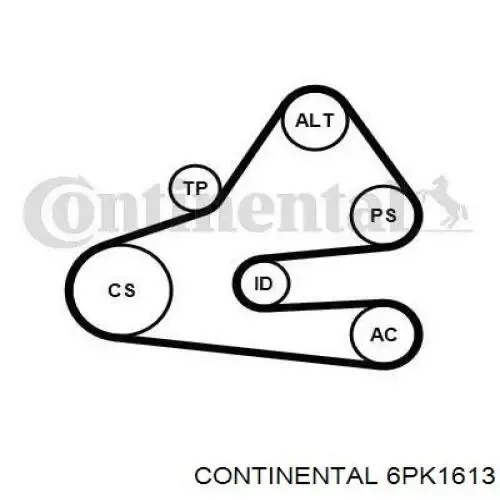 Ремень генератора 6PK1613 Continental/Siemens