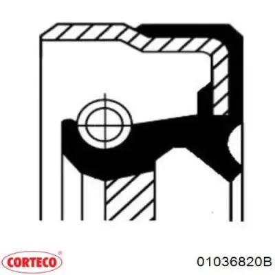 Сальник хвостовика редуктора переднего моста CORTECO 01036820B