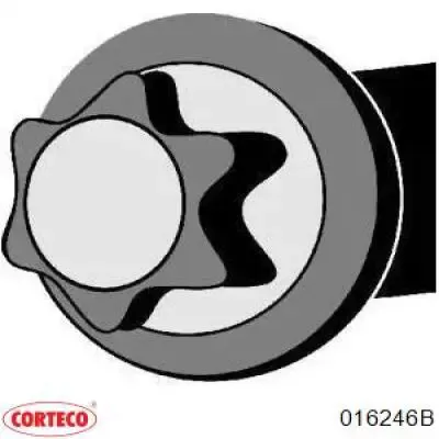 Болт ГБЦ 016246B Corteco