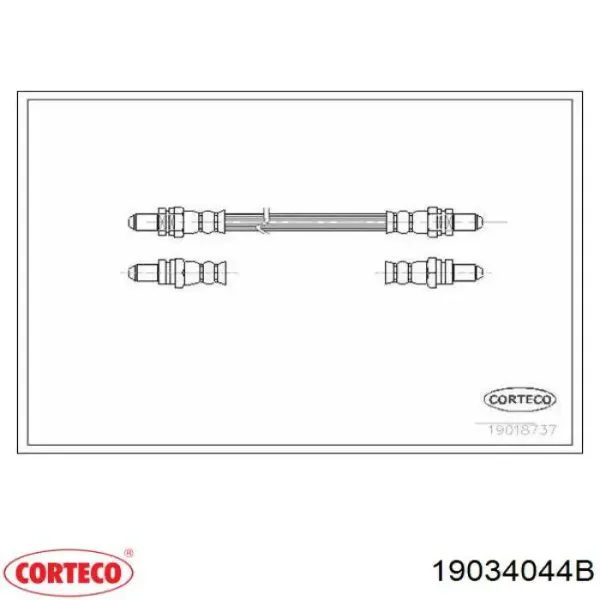  19034044B Corteco