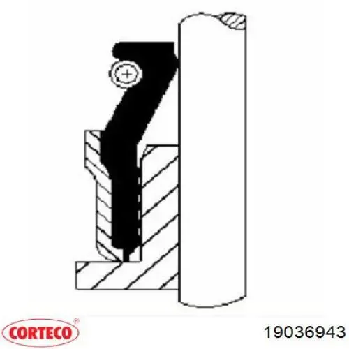 Сальники клапанов 19036943 Corteco