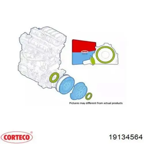  19134564 Corteco