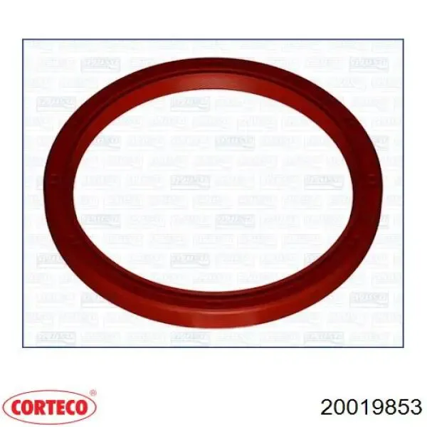 Сальник коленвала задний 20019853 Corteco
