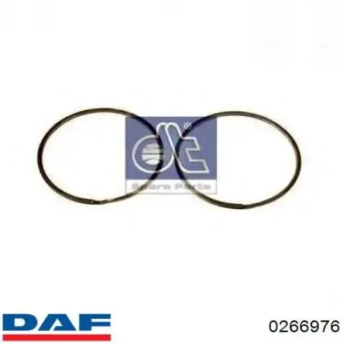  0266976 DAF