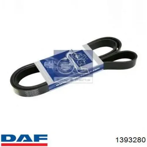 Клиновый ремень DAF 1393280 цена, от