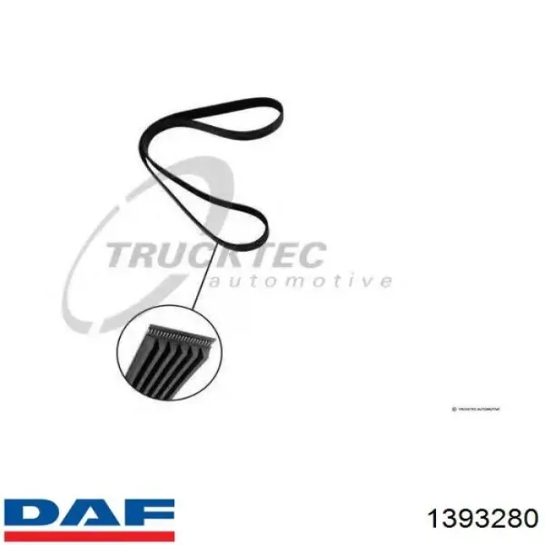 1393280 DAF Поликлиновый ремень