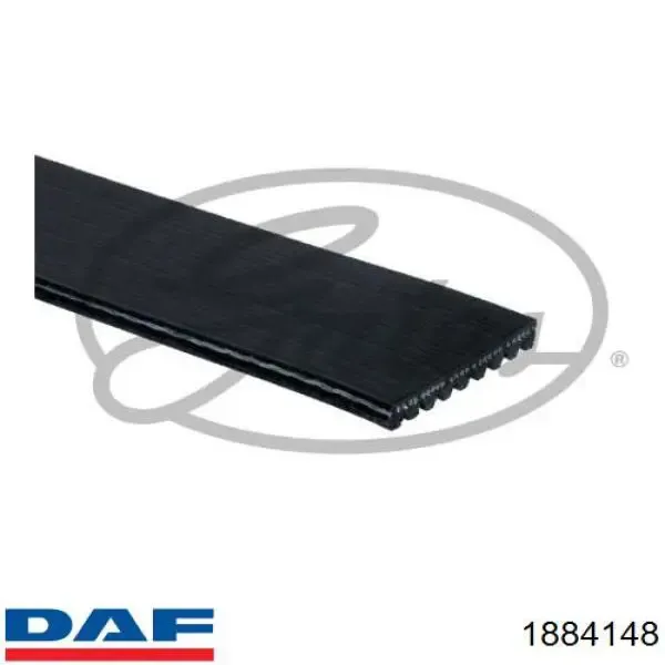 Ремень генератора 1884148 DAF
