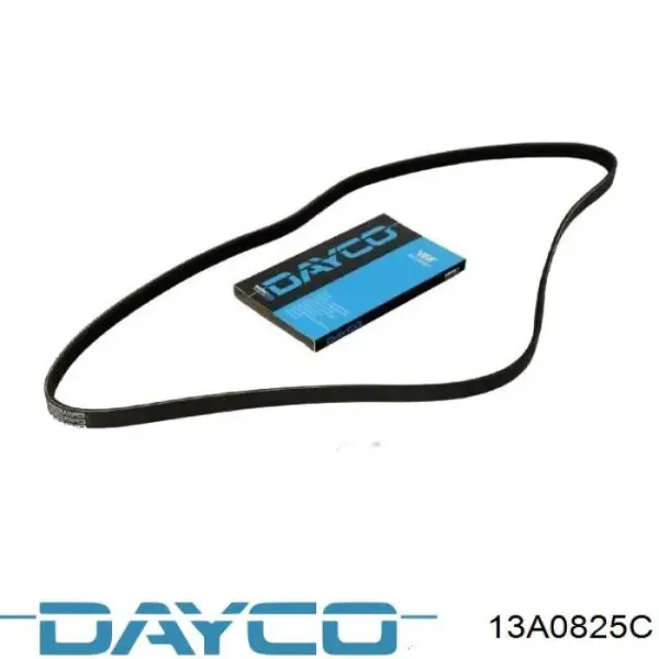 Ремень генератора 13A0825C Dayco