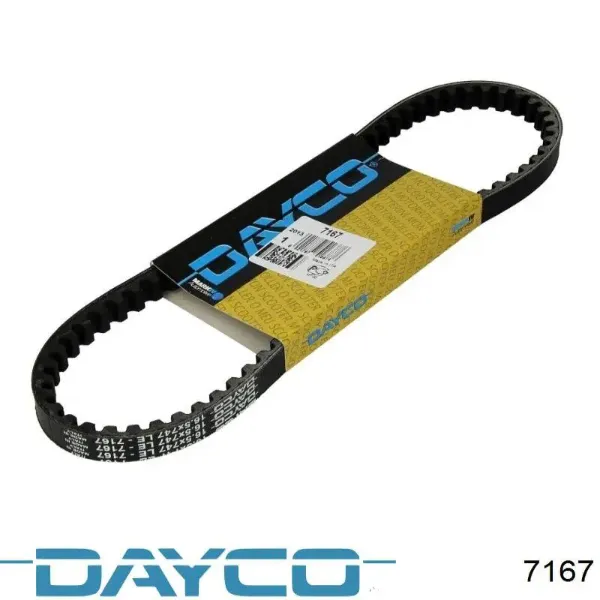 Ремень вариатора 7167 Dayco