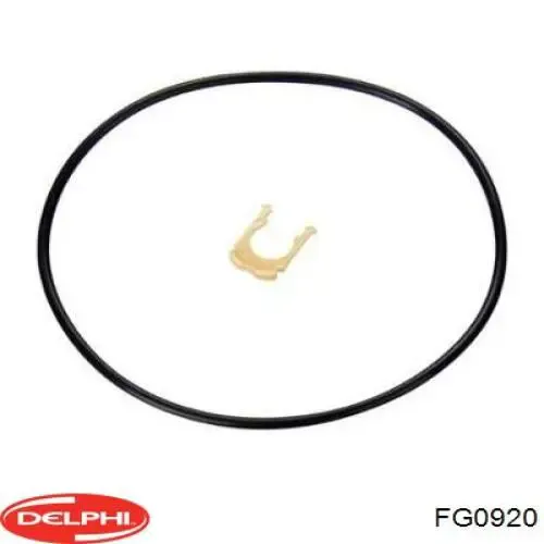 Бензонасос FG0920 Delphi