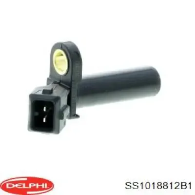 SS1018812B1 Delphi ДПКВ