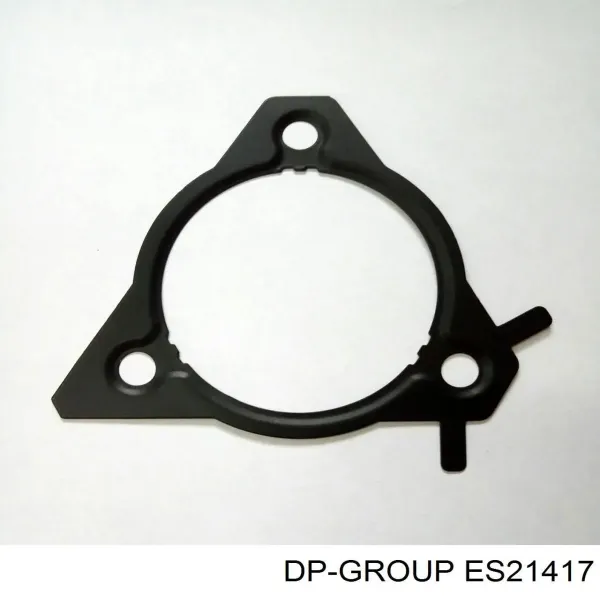Прокладка ТНВД ES21417 DP Group