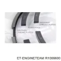 Комплект поршневых колец на 1 цилиндр, стандарт Renault Trucks TRUCK MANAGER 