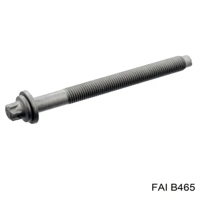 Болт головки блока цилиндров (ГБЦ) FAI B465