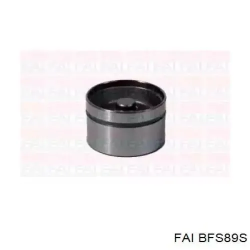 Гидрокомпенсатор BFS89S FAI