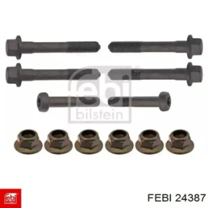  24387 FEBI