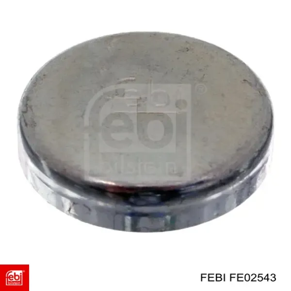 Заглушка ГБЦ FE02543 Febi