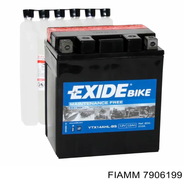 Аккумулятор 7906199 Fiamm