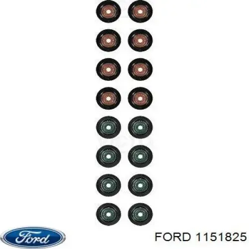 Сальник впускного клапана на Ford Focus II DA, FFS, DS