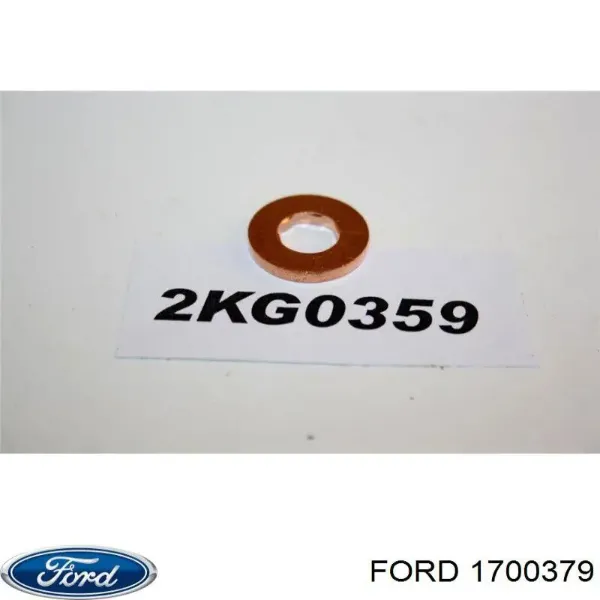 Кольцо форсунки инжектора посадочное Ford 1700379