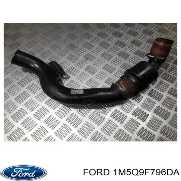  1M5Q9F796DA Ford