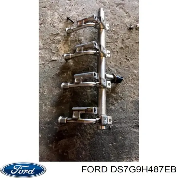 DS7G9H487EB Ford