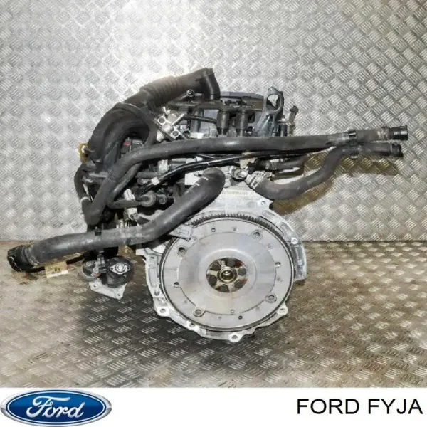 Двигатель FYJA Ford