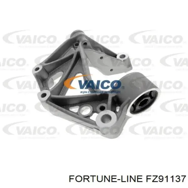  FZ91137 Fortune Line