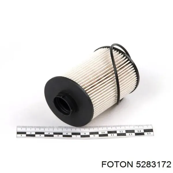  5283172 Foton