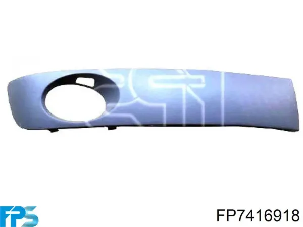  FP7416918 FPS