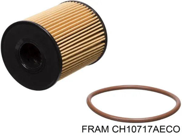 Фильтр очистки масла центробежный Fram CH10717AECO цена, от
