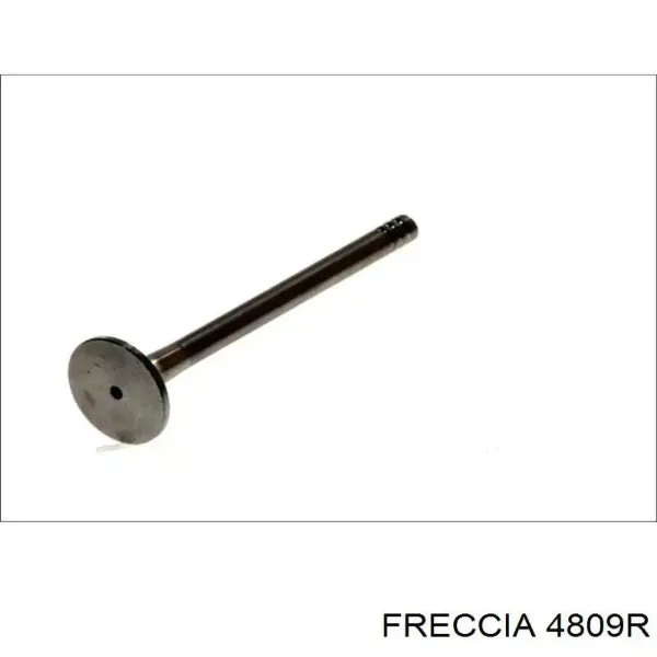 Выпускной клапан 4809R Freccia