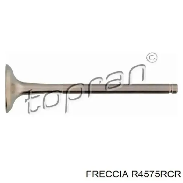 Купить R4575RCR Freccia Выпускной клапан